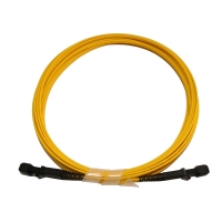 MTRJ Fiber Optic Patch Cord 